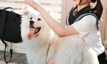 經典！河豚抚子全套白丝，原图就像一场不错的梦，以后怎么睡？